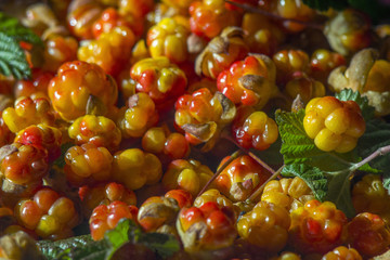Сloudberriy berries in the spoon on the stone