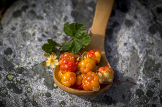 Сloudberriy berries in the spoon on the stone