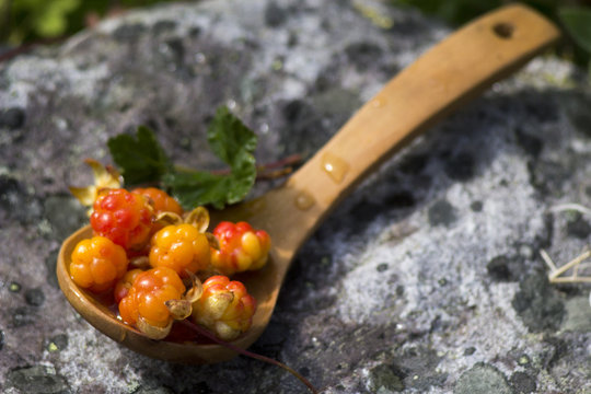 Сloudberriy berries in the spoon on the stone