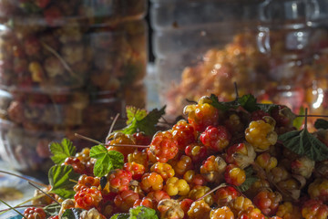 Сloudberriy berries in the spoon on the stone
