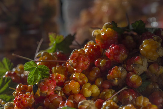 Сloudberriy berries in the spoon on the stone