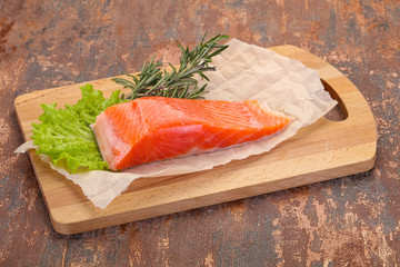 Piece of raw salmon