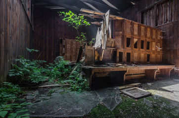 umkleidekabinen mit pflanzen