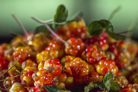 Сloudberriy berries in the spoon on the stone