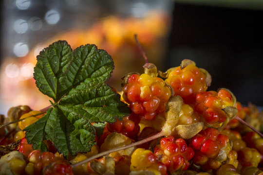Сloudberriy berries in the spoon on the stone