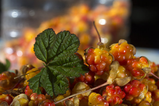 Сloudberriy berries in the spoon on the stone