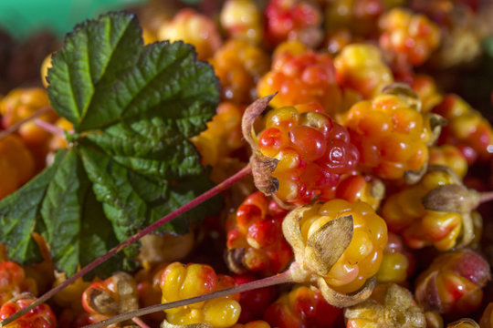 Сloudberriy berries in the spoon on the stone