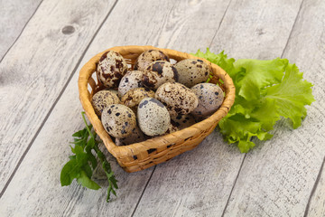 Quail eggs in the basket