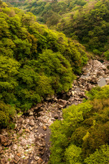 Fototapeta na wymiar landscape with mountain river and trees, jeju, South Korea