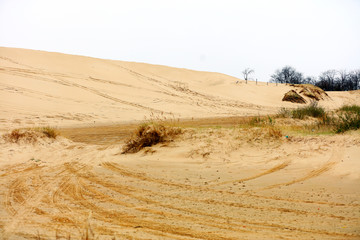 Desert scenery