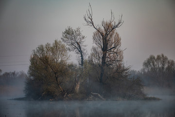 wyspa we mgle © Konrad