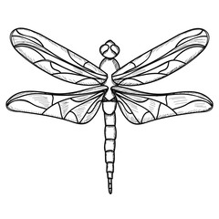 dragonfly sketch and lines, on white background