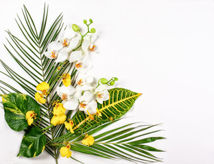 Composition with fresh tropical leaves and exotic flowers on white background.