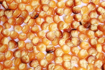 Food concept, corn seeds background.