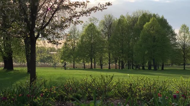 Slow motion fixed shot of a park in a city