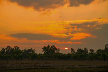 Sunset in a country field in the north east Thailand, Asia