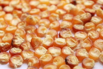 Bulk of burnt corn grains