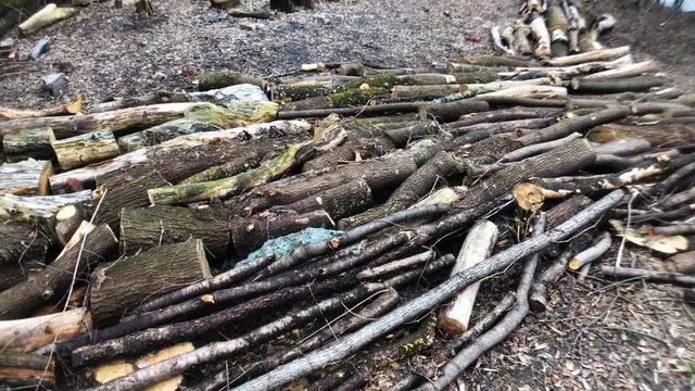 Wooden dam in a forest to protect from the Ottawa River Flooding in 2019 to a shot of Parliament hill.