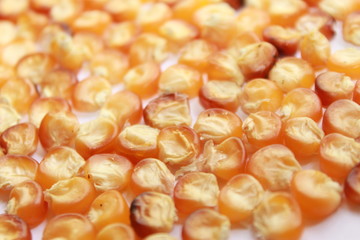 Food concept, corn seeds background.