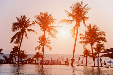Beautiful tropical beach with palm trees. Sunrises and sunsets. Ocean. - obrazy, fototapety, plakaty