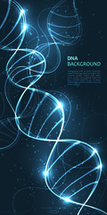 DNA molecular background. Vector illustration.