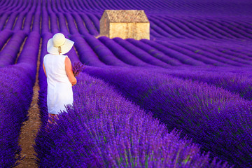 Pretty woman enjoying nature in purple lavender fields, Valensole, France