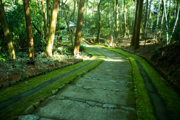 正念寺の道