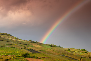 Regenbogen über der Elsässer Weinstraße Elsass, Reise Frankreich Weinberge