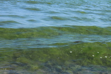 green water 