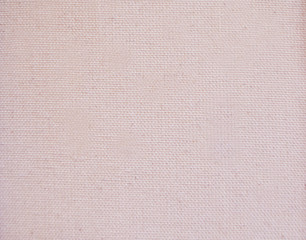 The texture of the canvas. Pink.