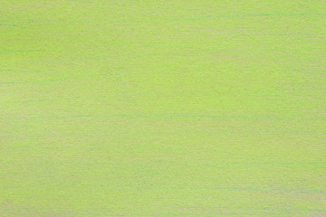 green pastel drawing on recycled paper background texture