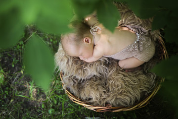 Newborn baby in basket among green leaves