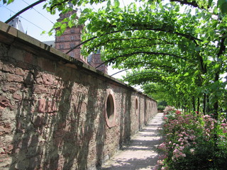 Laubengang bzw. Pergola Schlossgarten Aschaffenburg