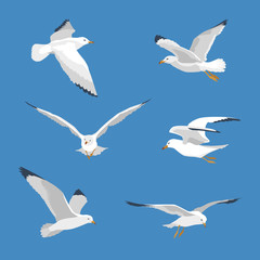 Set of simple flyingl seagull