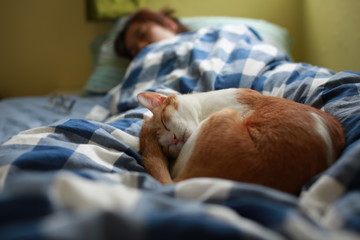 Sleep with your cat on bed