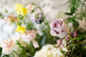Close up of a Pink Rose in a Bouquet
