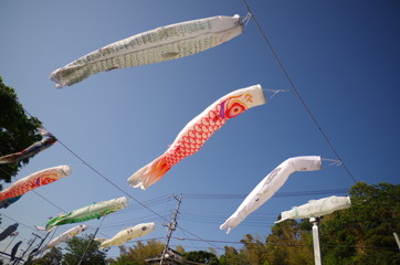 鯉のぼり