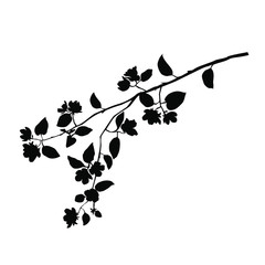 Silhouette of apple or cherry flower with leaf, branch  blossom, vector,  black color, isolated on white background