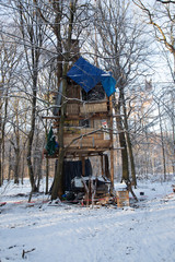 Hambacher Forst - Baumhaus im Winter