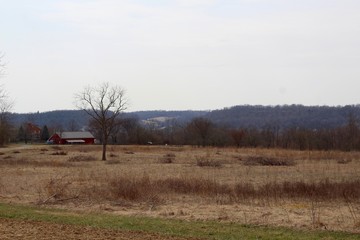 The brown grass field of the farmland in the country.