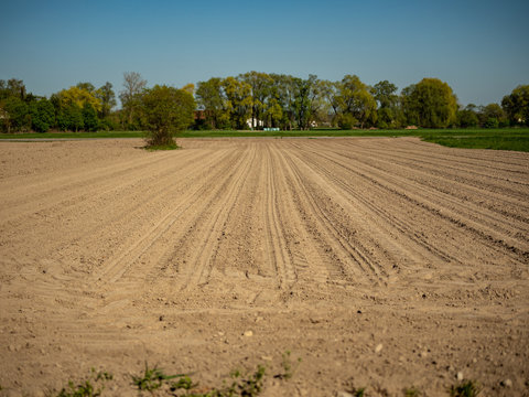 Image of agricultural field which is damaged due to dryness and climate change