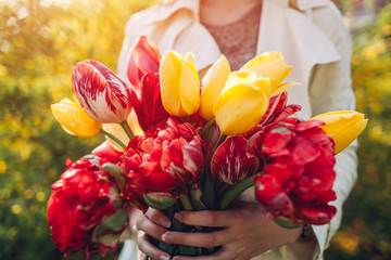 Woman holds a bouquet of colorful tulips. Present for Mother's day