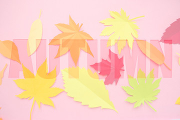 letter autumn cut from paper with paper autumn leaves