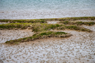 d&eacute;tail marais