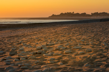 plage sabl&eacute;es