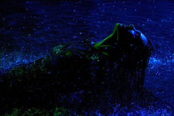 Young sexy woman lying on wet floor with water drops. Blue light effect. Seductive girl dressed in a sparkling dress in sequins resembling fish scales in a dark room. Water studio, spray , splashes.