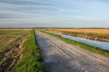 Fototapeta na wymiar Gravel road through a meadow and water channel