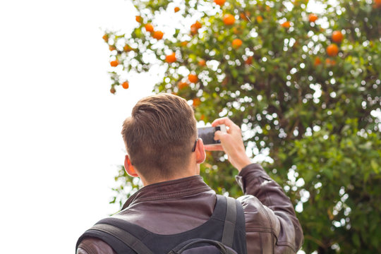 Young handsome man in sunglasses, tourist, with backpack taking pictures on a smartphone orange tree