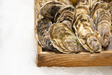 Fresh premium quality oysters with lemon in the wooden box on the ice. Traditional delicatessen seafood.