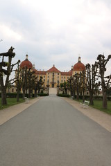 Fototapeta na wymiar Park am Schloss Moritzburg